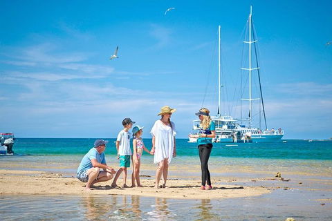 Wavedancer Low Isles Great Barrier Reef Sailing Cruise From Port Douglas - Accommodation Newcastle 16