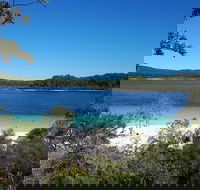 Overnight Fraser Island Camping Safari from Brisbane - Accommodation Newcastle