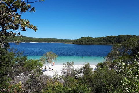 Overnight Fraser Island Camping Safari From Brisbane - Accommodation Newcastle 0