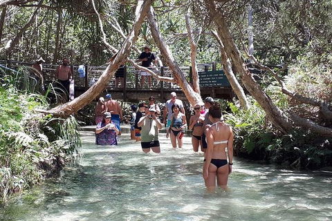 Overnight Fraser Island Camping Safari From Brisbane - Accommodation Newcastle 3