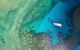 Great Barrier Reef Dive And Snorkel Cruise From Mission Beach - thumb 3