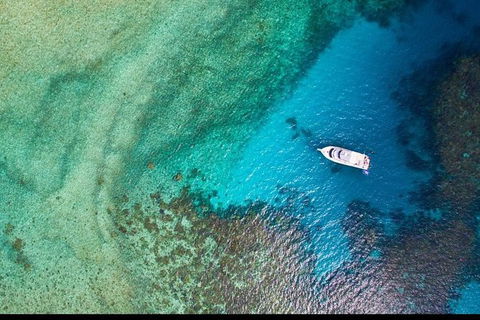 Great Barrier Reef Dive And Snorkel Cruise From Mission Beach - Accommodation Newcastle 3