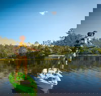 Walkabout Creek Adventures Stand Up Paddle Board Hire - Accommodation Newcastle