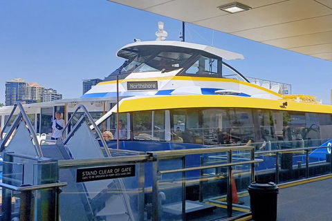 Brisbane City Essentials Walking Tour - Accommodation Newcastle 8