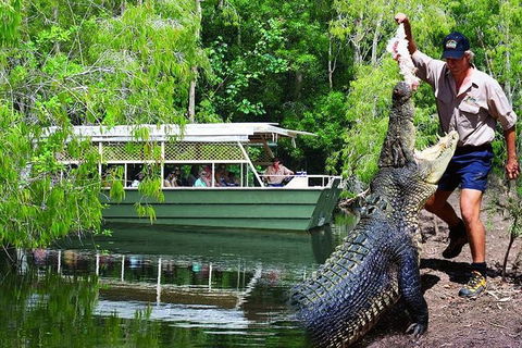 Crocs, Creatures And Culture Ex Northern Beaches - Accommodation Newcastle 1