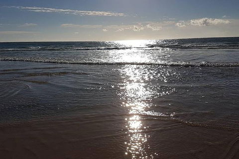Land Based Game Fishing - Accommodation Newcastle 2