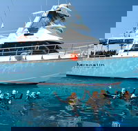 Great Barrier Reef Cruise from Townsville or Magnetic Island - Accommodation Newcastle