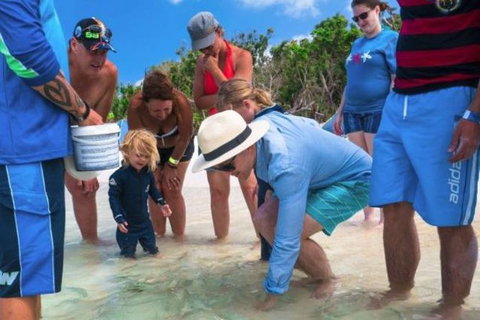 Whitehaven Beach And Hill Inlet Chill And Grill - Accommodation Newcastle 1