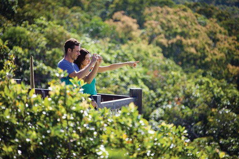 Conway National Park Coral Beach Walk Including Shute Harbour From Airlie Beach - Accommodation Newcastle 0