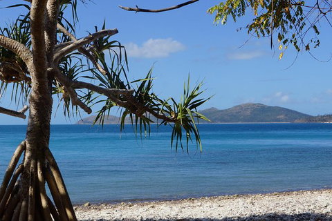 Conway National Park Coral Beach Walk Including Shute Harbour From Airlie Beach - Accommodation Newcastle 1