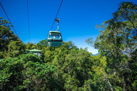 Kuranda Scenic Railway Day Trip From Palm Cove - Accommodation Newcastle 3