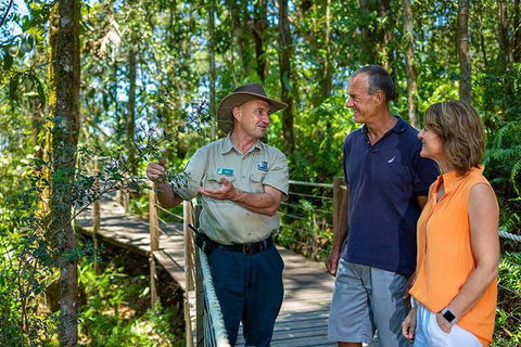 Kuranda Scenic Railway Day Trip From Palm Cove - Accommodation Newcastle 4