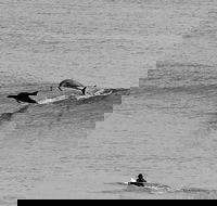 Overnight Tweed Coast Camping and Surfing Getaway From The Gold Coast - Accommodation Newcastle