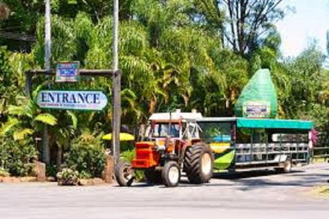 Tropical Fruit World With Wildlife Boat Cruise From Gold Coast - Accommodation Newcastle 0