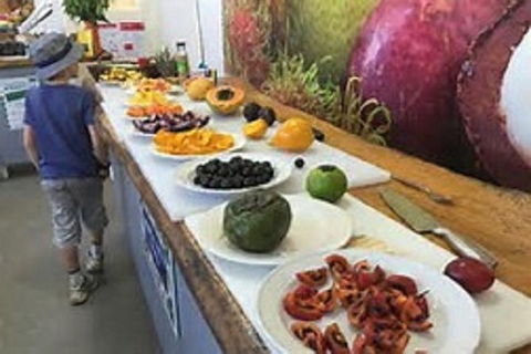 Tropical Fruit World With Wildlife Boat Cruise From Gold Coast - Accommodation Newcastle 17