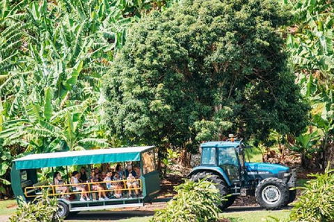 Tropical Fruit World With Wildlife Boat Cruise From Gold Coast - Accommodation Newcastle 6