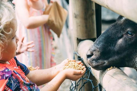 Tropical Fruit World With Wildlife Boat Cruise From Gold Coast - Accommodation Newcastle 4
