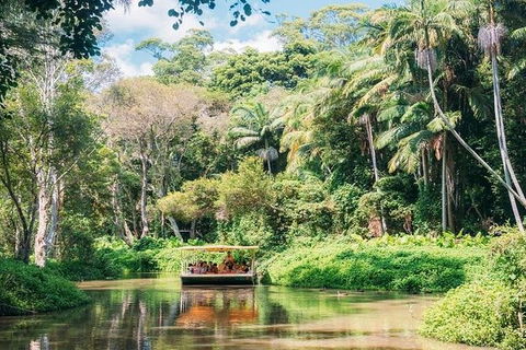 Tropical Fruit World With Wildlife Boat Cruise From Gold Coast - Accommodation Newcastle 11
