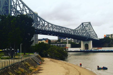Brisbane River Guided Day Tour By Kayak - Accommodation Newcastle 1