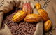 Charley\'s Chocolate Factory Tour, Mission Beach Including Aussie Farm Lunch - thumb 0