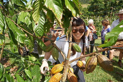Charley\'s Chocolate Factory Tour, Mission Beach Including Aussie Farm Lunch - Accommodation Newcastle 1