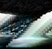 Natural Bridge Glow Worm Night Tour from Gold Coast - Accommodation Newcastle