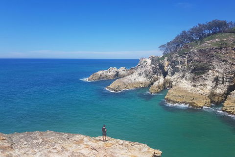 Full-Day Tour To North Stradbroke Island From Brisbane - Accommodation Newcastle 0