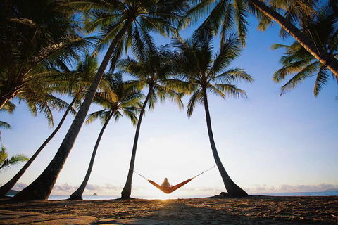 Port Douglas And Hartley's Crocodile Adventure Day Trip From Cairns - Accommodation Newcastle 0