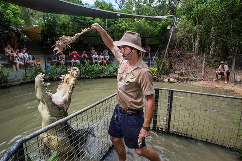 Port Douglas And Hartley's Crocodile Adventure Day Trip From Cairns - Accommodation Newcastle 1