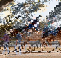 Camel Rides - Accommodation Newcastle