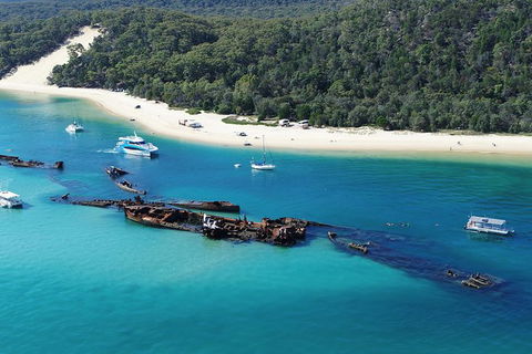 All Inclusive Dolphin And Tangalooma Wrecks Cruise Departing Gold Coast - Accommodation Newcastle 0