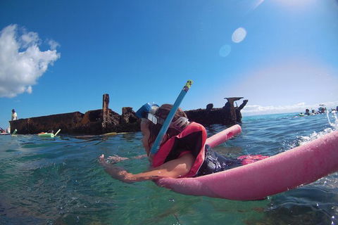 All Inclusive Dolphin And Tangalooma Wrecks Cruise Departing Gold Coast - Accommodation Newcastle 1