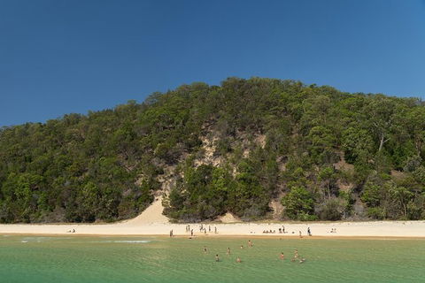 All Inclusive Dolphin And Tangalooma Wrecks Cruise Departing Gold Coast - Accommodation Newcastle 3