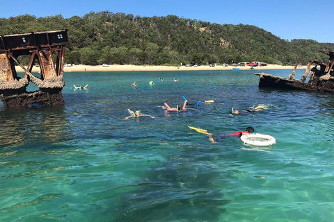 All Inclusive Dolphin And Tangalooma Wrecks Cruise Departing Gold Coast - Accommodation Newcastle 9
