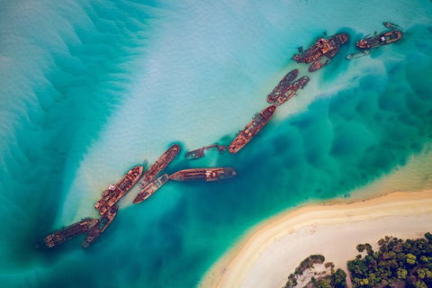 All Inclusive Dolphin And Tangalooma Wrecks Cruise Departing Gold Coast - Accommodation Newcastle 6
