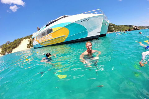 All Inclusive Dolphin And Tangalooma Wrecks Cruise Departing Gold Coast - Accommodation Newcastle 2