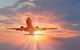 Return Trip For Brisbane Airport To And From Caloundra For Up-to 2 Ppl - thumb 3