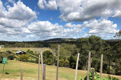 Sirromet Winery All Inclusive Lunch @ Lurleens, Tour, Tastings And Transfers - Accommodation Newcastle 4