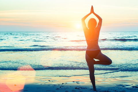 Brisbane Airport To And From Byron Bay, NSW For Up-to 4 Ppl - Accommodation Newcastle 3