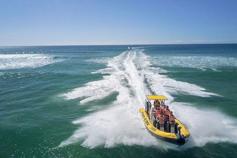 Noosa Oceanrider - Thrill Ride - Accommodation Newcastle 2