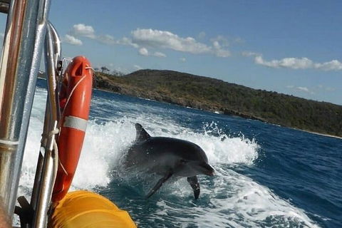 Noosa Oceanrider - Thrill Ride - Accommodation Newcastle 4