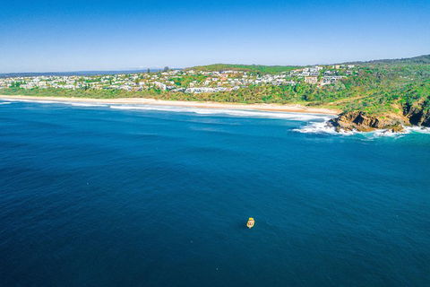 Noosa Oceanrider Scenic Dolphin Safari - Accommodation Newcastle 5