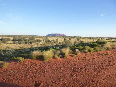 Uluru Small-Group Tour By Camel At Sunrise Or Sunset - Accommodation Newcastle 9