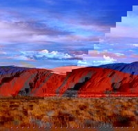 Uluru and Kata Tjuta Experience with BBQ Dinner - Accommodation Newcastle