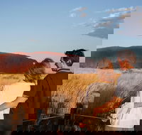 Uluru Ayers Rock Sunset with Outback Barbecue Dinner and Star Tour - Accommodation Newcastle