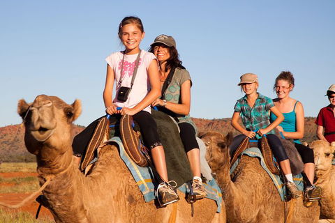 Alice Springs Camel Tour - Accommodation Newcastle 0