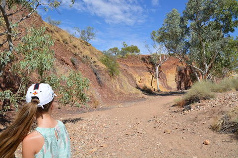 West MacDonnell Ranges Small-Group Full-Day Guided Tour - Accommodation Newcastle 2