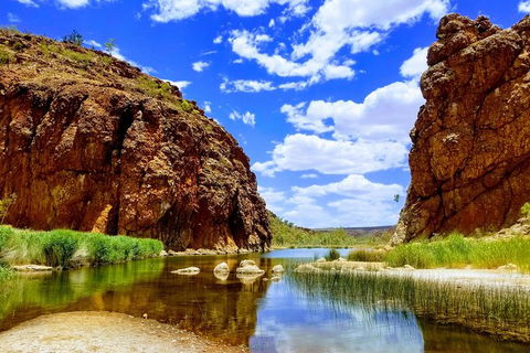 West MacDonnell Ranges Small-Group Full-Day Guided Tour - Accommodation Newcastle 8