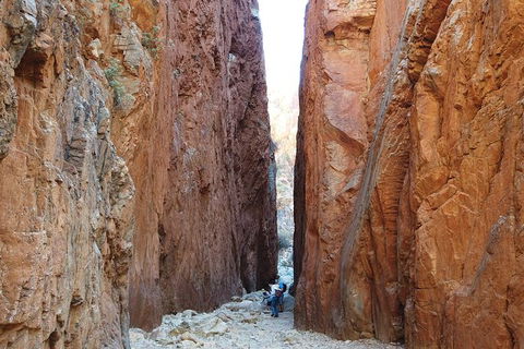 West MacDonnell Ranges Small-Group Full-Day Guided Tour - Accommodation Newcastle 6