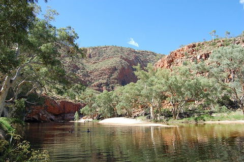 West MacDonnell Ranges Small-Group Full-Day Guided Tour - Accommodation Newcastle 7